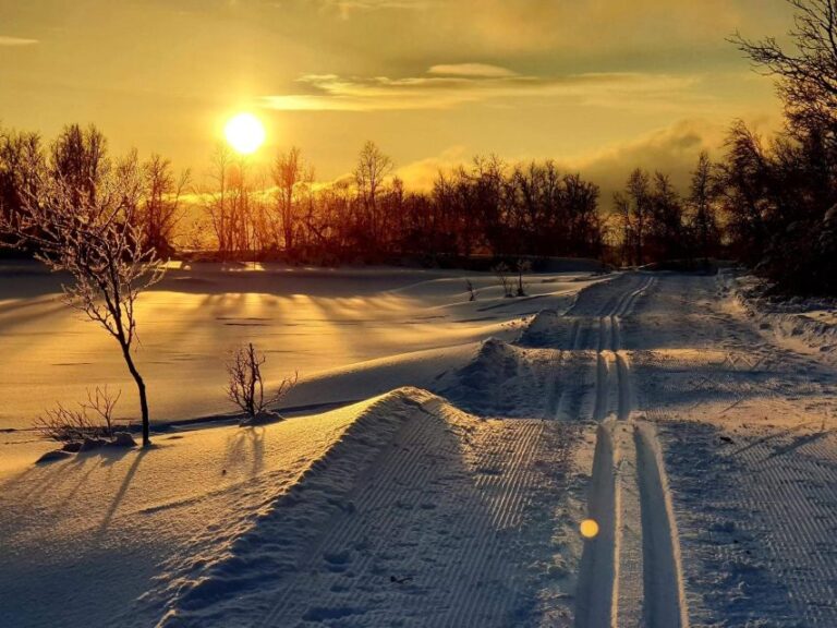 Tromsø: Cross Country Course With A Guide And Views Overview Of The Activity