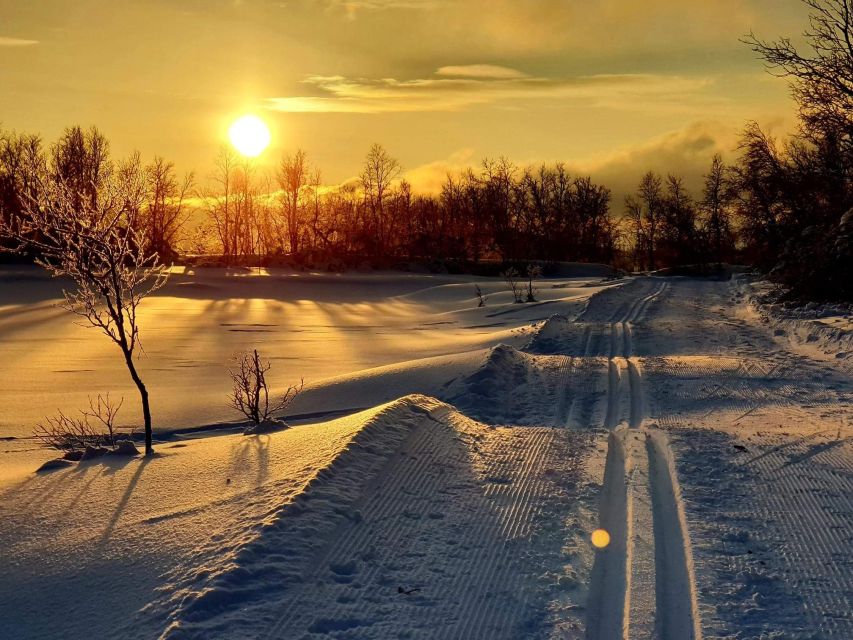 Tromsø: Cross Country Course With a Guide and Views - Overview of the Activity