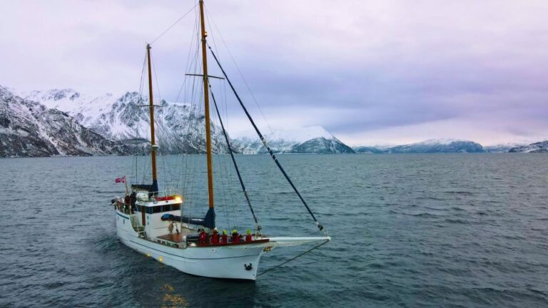 Tromsø: Polar Fjord Cruise On A Luxury Yacht With Lunch Luxury Yacht Cruise In Tromsø