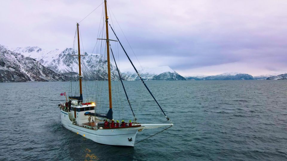 Tromsø: Polar Fjord Cruise on a Luxury Yacht With Lunch - Luxury Yacht Cruise in Tromsø