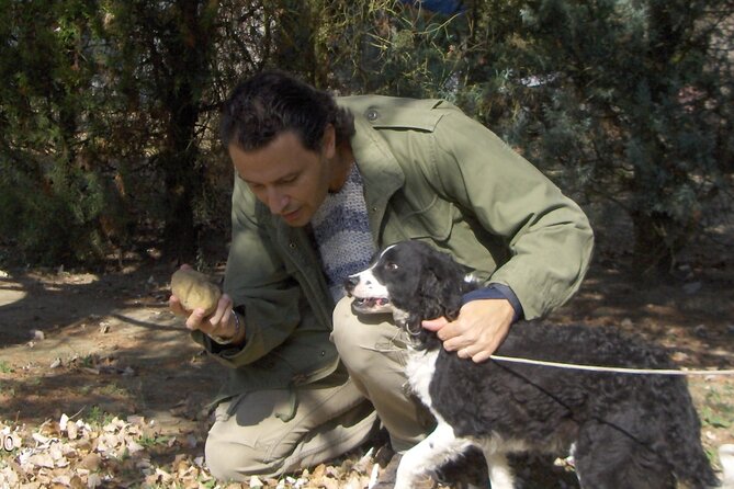 Truffle Hunting & Tasting In San Miniato Tuscany With Dogs Truffle Hunting With Experienced Guide