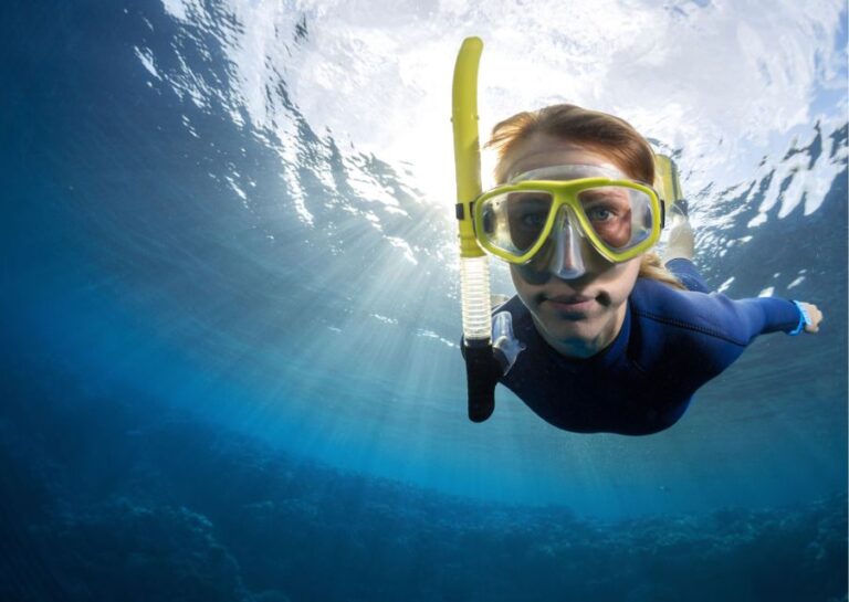 Try Freediving Experience In Arrábida Marine Reserve Activity Overview