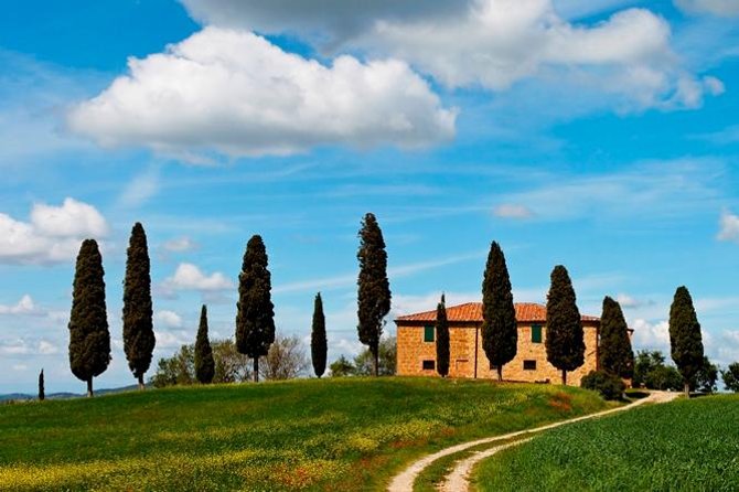 Tuscan Chianti Hills Horseback Riding Tour Overview Of The Tour