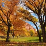 Utah: Capitol Reef National Park Self Driving Audio Tour Tour Overview