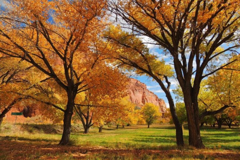 Utah: Capitol Reef National Park Self Driving Audio Tour Tour Overview