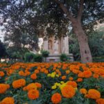 Valletta: City Walking Tour In A Small Group Tour Overview And Pricing