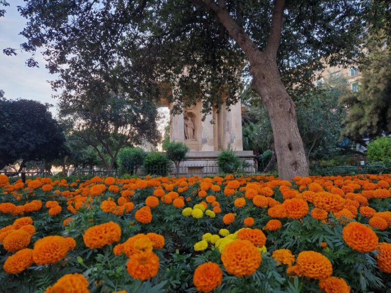 Valletta: City Walking Tour In A Small Group Tour Overview And Pricing