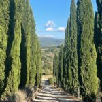 Vegetarian Cooking Class In The Florentine Hills 6 Guests Max Activity Overview