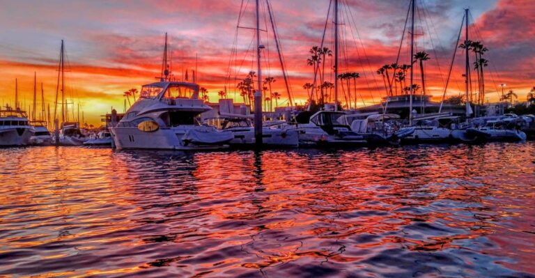 Venice Beach Scenic Photo Tour Of Famous Iconic Spots Tour Overview And Details