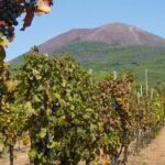 Vesuvius & Vineyard Select From Sorrento Itinerary And Inclusions