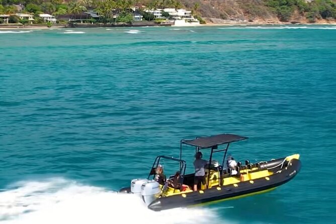 Waikiki Turtle Snorkel Tour - Small Group (6 Passengers or Less) - Tour Overview