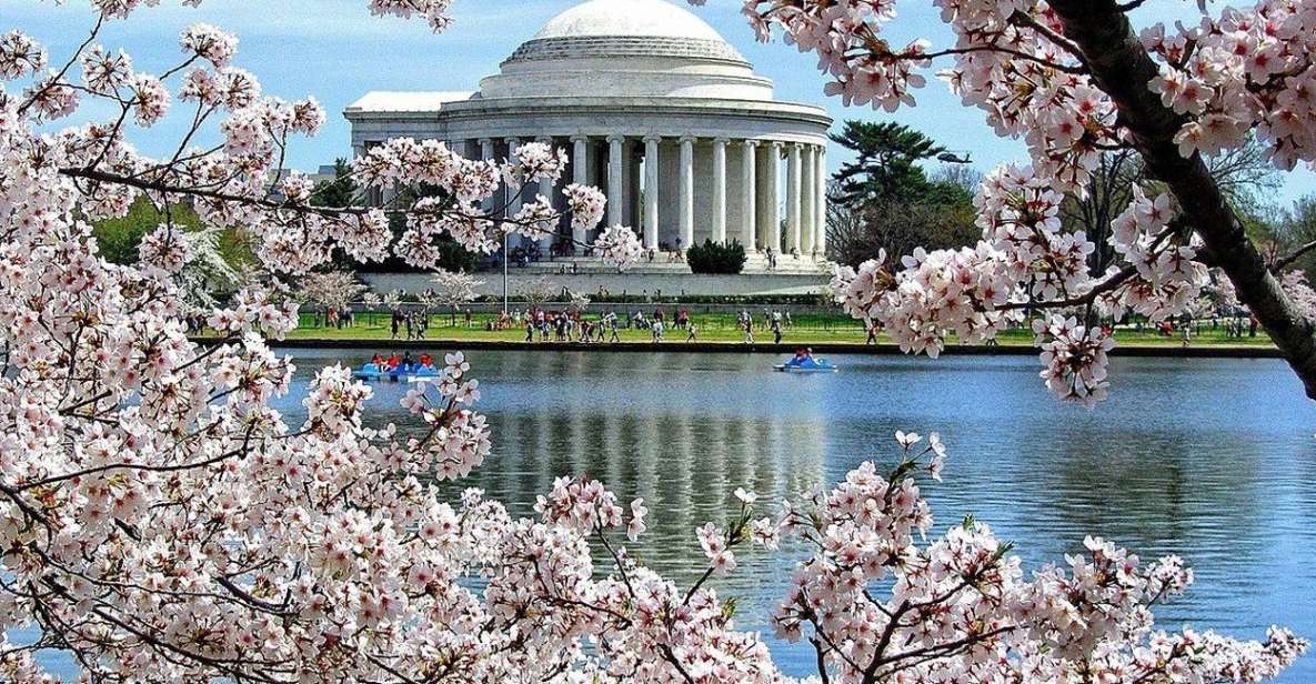 Washington DC : Cherry Blossom Walking Tour - Tour Overview