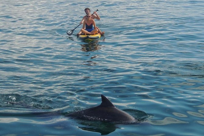 Watamu Marine Park & Sudi Island Mangrove Forest Canoe Ride.With Sea Food Lunch - Overview of the Tour