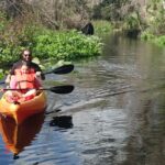 Wekiva Wildlife Kayaking Adventure Tour Tour Overview And Details