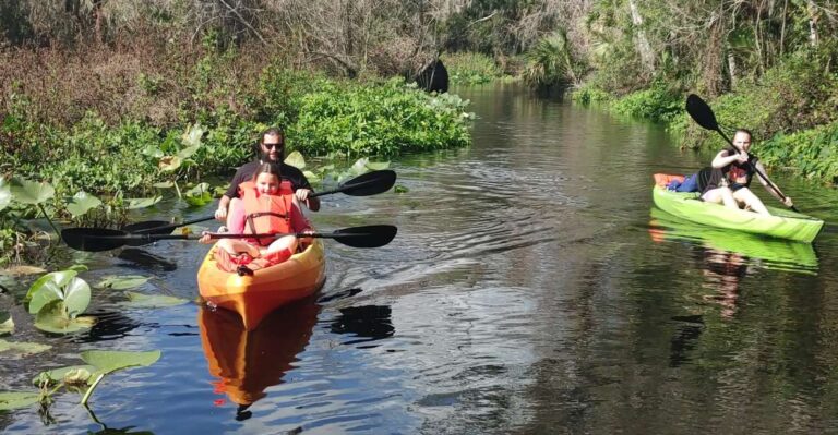 Wekiva Wildlife Kayaking Adventure Tour Tour Overview And Details