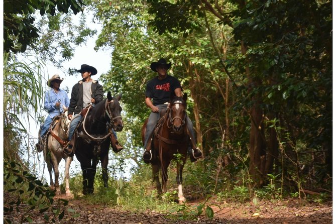 West Maui Mountain Waterfall and Ocean Tour via Horseback - Tour Overview