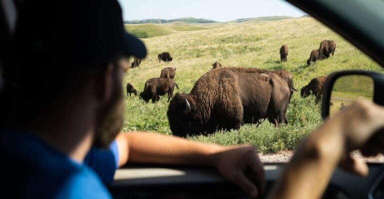 West Yellowstone: Yellowstone National Park Highlights Tour Tour Overview And Pricing