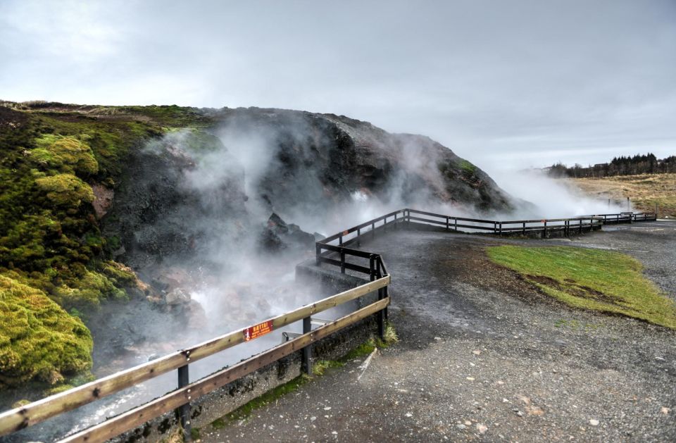 Whale Fjord & Silver Circle Iceland - Tour Details