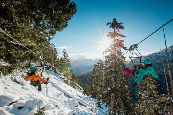 Whistler Superfly Ziplines Overview Of Whistler Superfly Ziplines