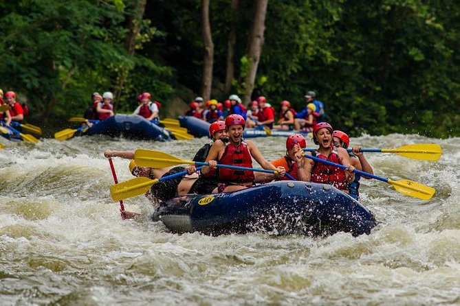 White Water Rafting Experience on the Upper Pigeon River - Experience Overview