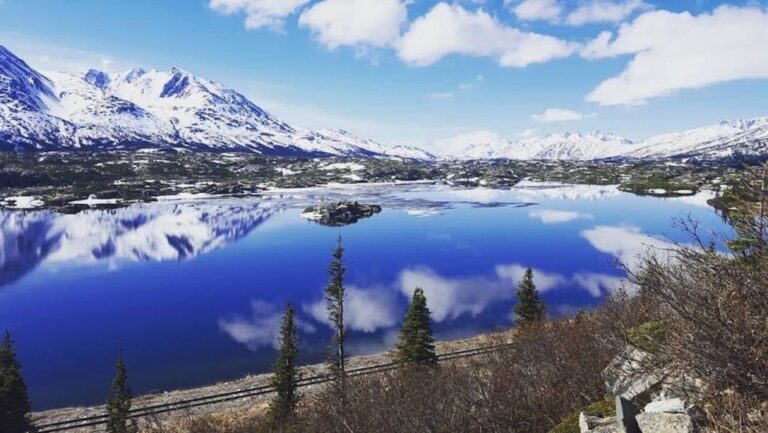 Wild Adventure Yukon + Summit Tour Breathtaking Mountain Scenery