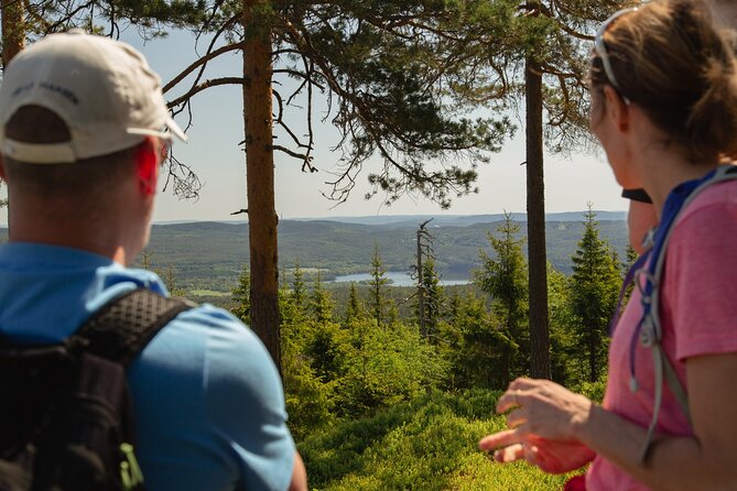 Wildlife Forest Hike - Guided Tour Details