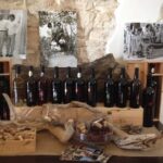 Wine Tasting Experience In The Apulian Countryside Explore The Apulian Countryside