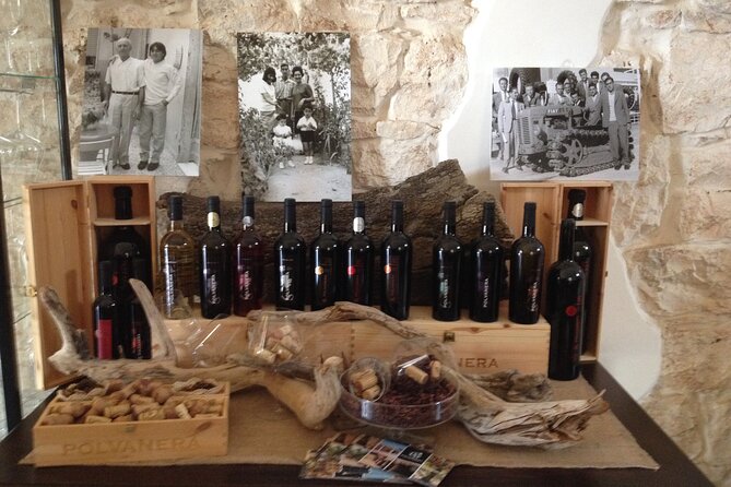 Wine Tasting Experience in the Apulian Countryside - Explore the Apulian Countryside