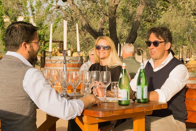 Wine Tasting in Vieste - Centuries-Old Olive Grove Tour