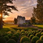 Wine Tasting Tour In Loire Valley With Castle Visits And Lunch Tour Overview