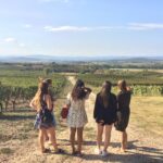 Wine Tour Cathar Country Discover Languedocs Charming Vineyards