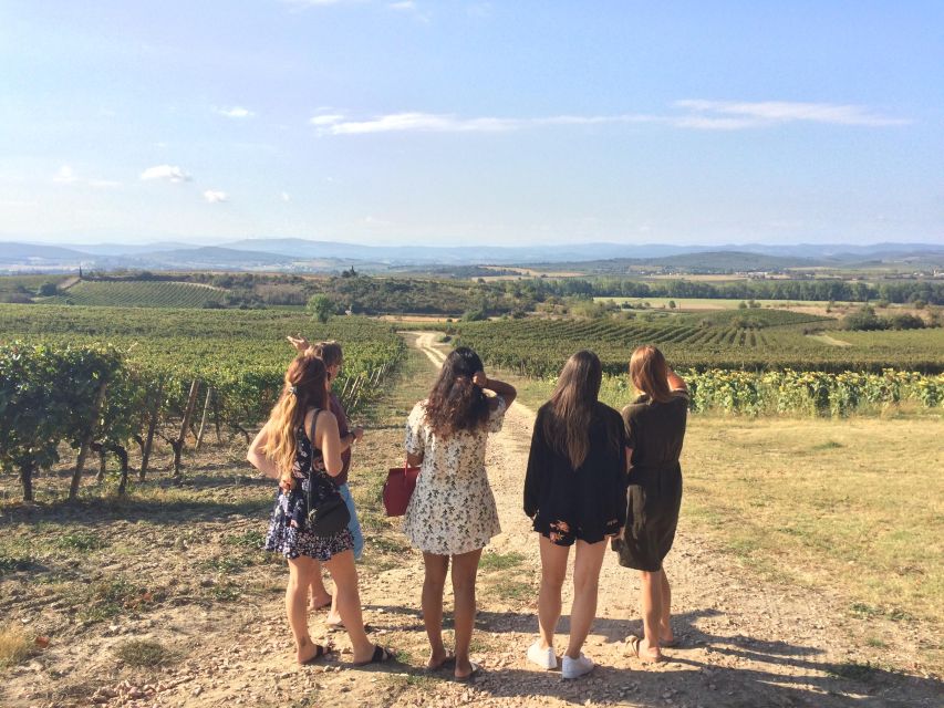 Wine Tour Cathar Country - Discover Languedocs Charming Vineyards