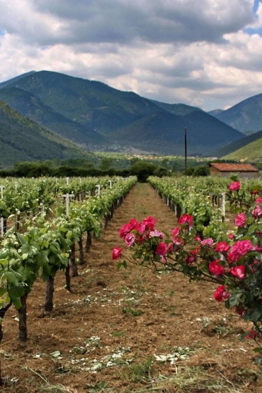 Wine Tour & Tasting in an Organic Winery in Arcadia, Greece - Tour Overview