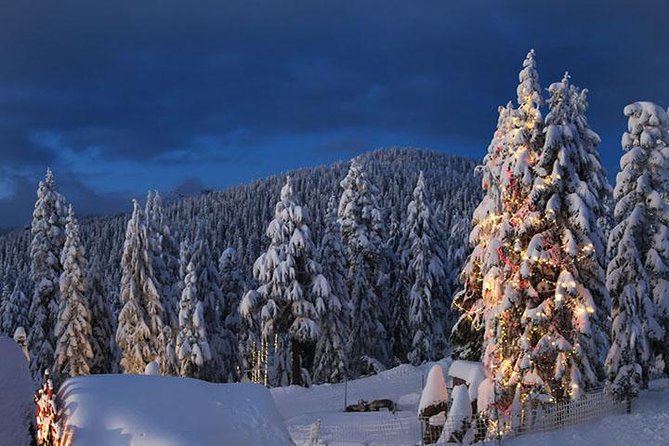 Winter Fun at North Shore Mountains- Grouse, Seymour & Cypress - Tour Overview