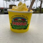 World Famous Dole Plantation & North Shore Island Tour! Tour Overview