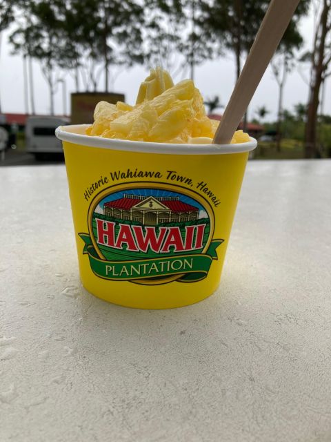 World Famous Dole Plantation & North Shore Island Tour! - Tour Overview