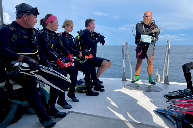 Wreck And Bridge Span Dive For Certified Divers Dive Sites And Wildlife