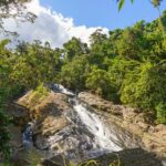 Yunque Rainforest River Rope Swing With Waterslide And Beach Tour Highlights