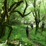 Zagori: Vikos Gorge Full Day Guided Hike Overview Of The Activity