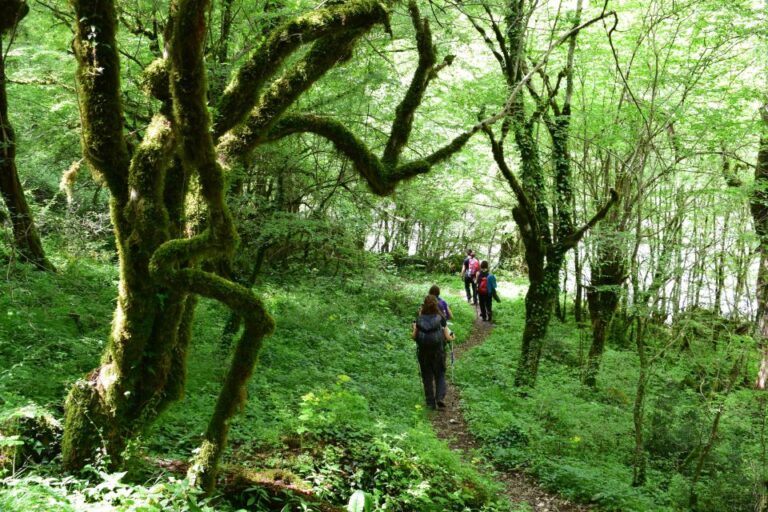 Zagori: Vikos Gorge Full Day Guided Hike Overview Of The Activity