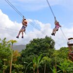 Zipline Canopy Adventure Tour With Transport From San Juan Tour Overview