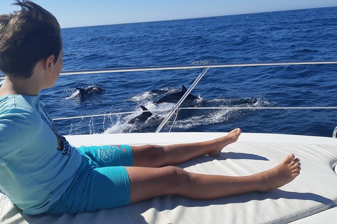 2 Hours Dolphin Watching in Marbella - Key Points