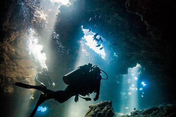 2 Tank Lanai Cathedral Scuba Dive (Boat) for Certified Divers - Key Points