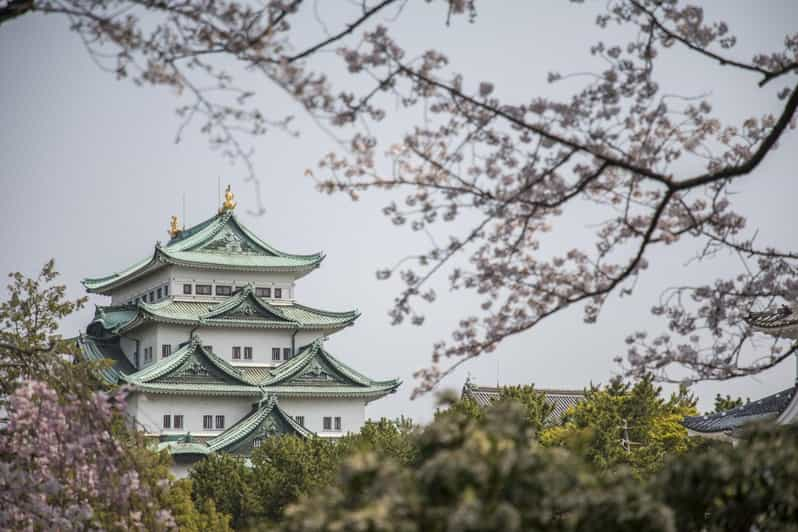 1-Day Tour: Nagoya Castle Review - Itinerary and Transportation