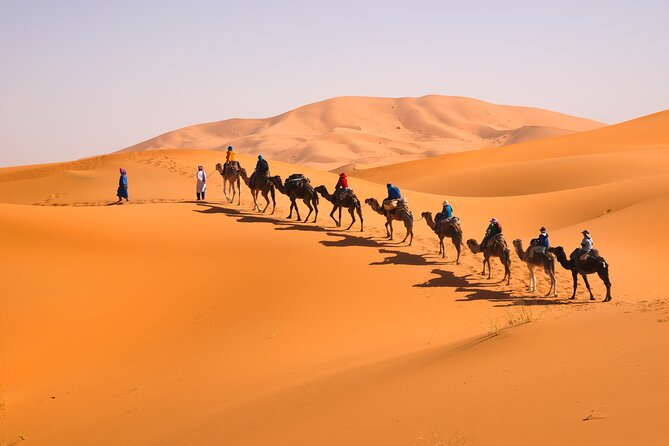 10D Morocco Tour From Tangier By Imperial Cities And South Desert - Pickup and Meeting Details