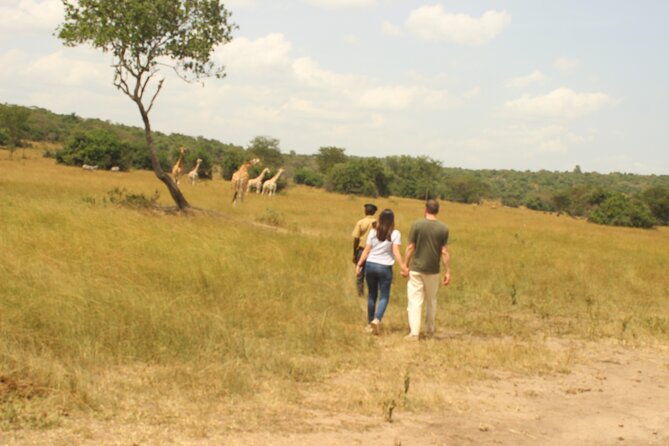 2 Day Lake Mburo National Park Wildlife Safari - Pickup Locations