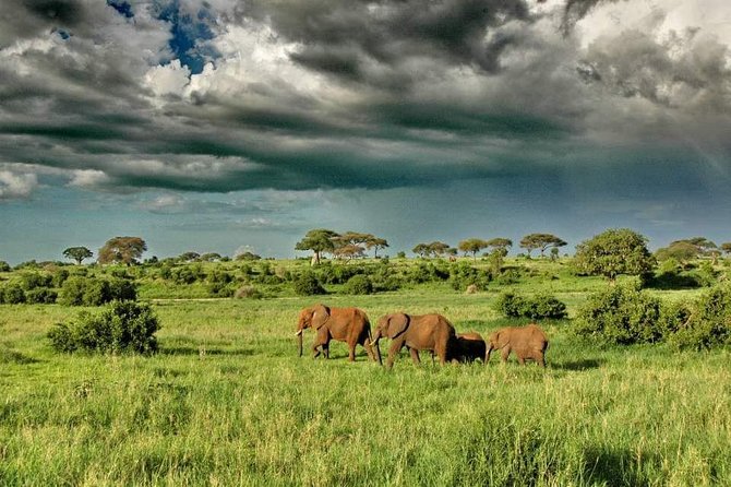 2 Days Joined Group Tarangire and Ngorongoro Crater National Park - Exclusions