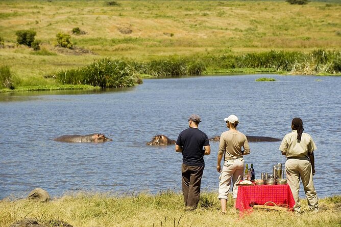 2-Days Private Midrange Safari; Tarangire & Ngorongoro Crater - Excluded Expenses