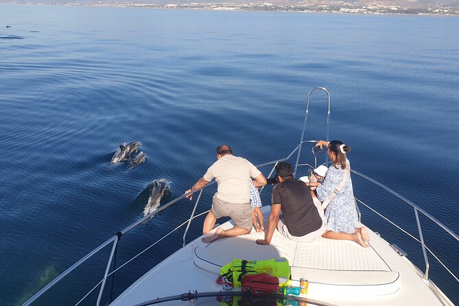 2 Hours Dolphin Watching in Marbella - Dolphin Watching Experience