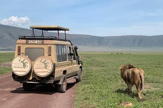 3 Days Small Group Safari to Serengeti NP and Ngorongoro Crater Tour in Tanzania - Pickup and Drop-off